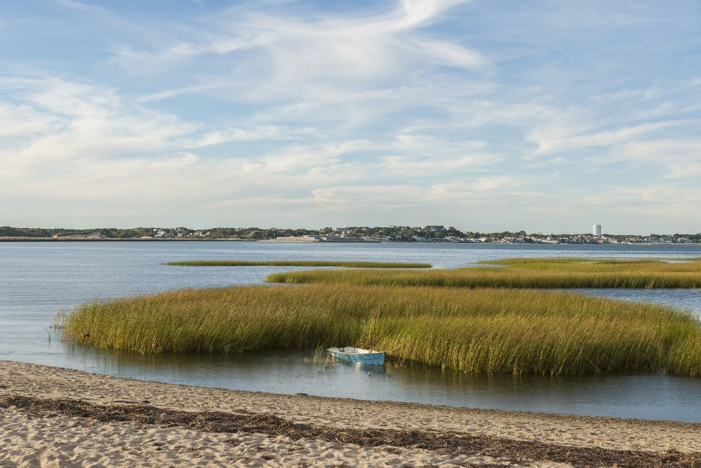 Detail of Race Point by Anonymous