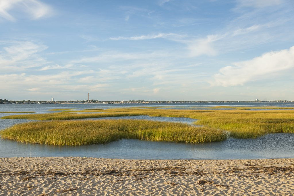 Detail of Race Point by Anonymous