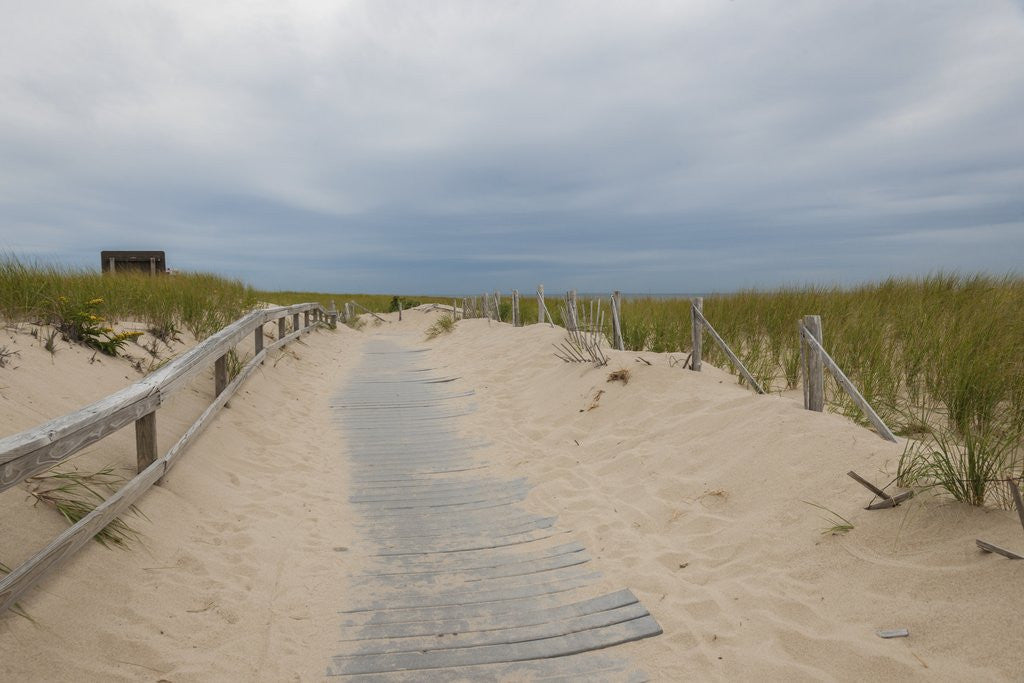 Detail of Race Point beach near Coast Guard Station by Anonymous
