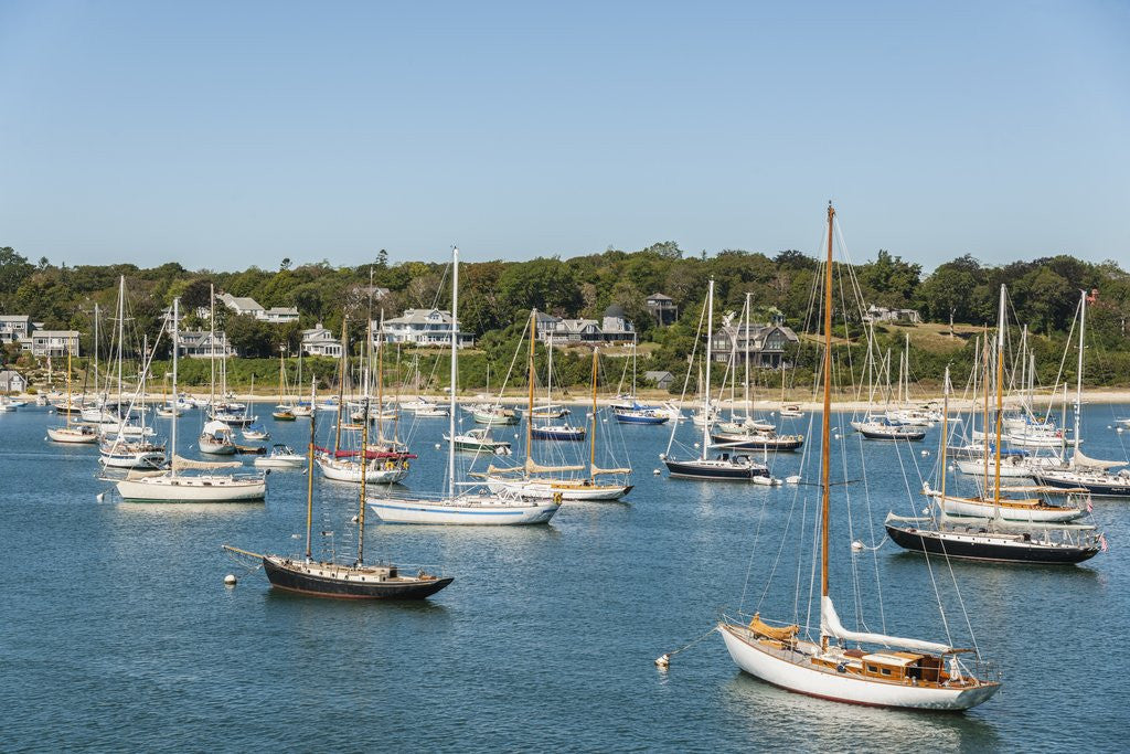 Detail of Vineyard Haven Harbor by Anonymous