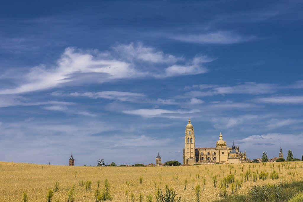 Detail of View of the Cathedral by Anonymous