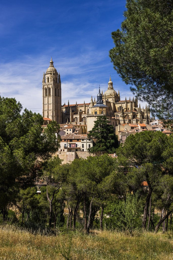 Detail of The Cathedral and the town by Anonymous