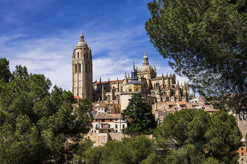 Detail of The Cathedral and the town by Anonymous