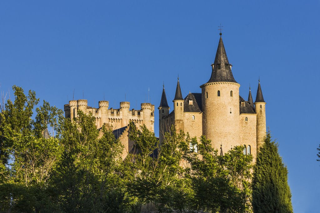 Detail of View of the AlcÃƒÂ¡zar (Castle) de Segovia by Anonymous