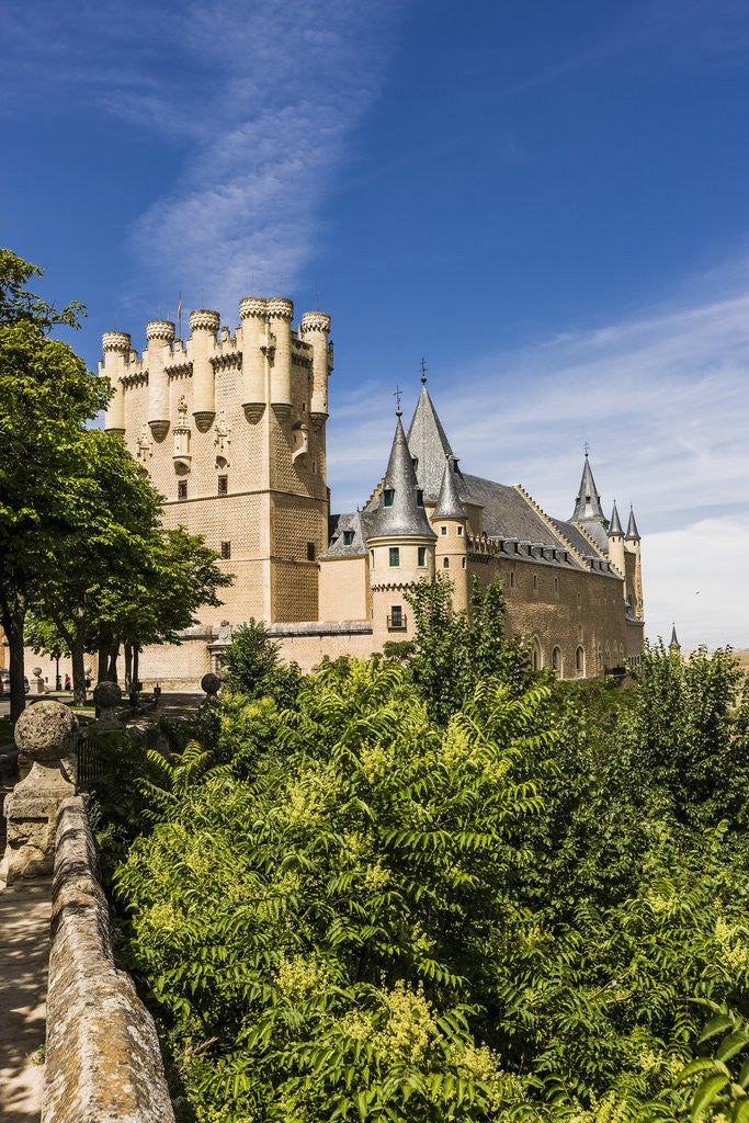 Detail of View of the AlcÃƒÂ¡zar (Castle) de Segovia by Anonymous