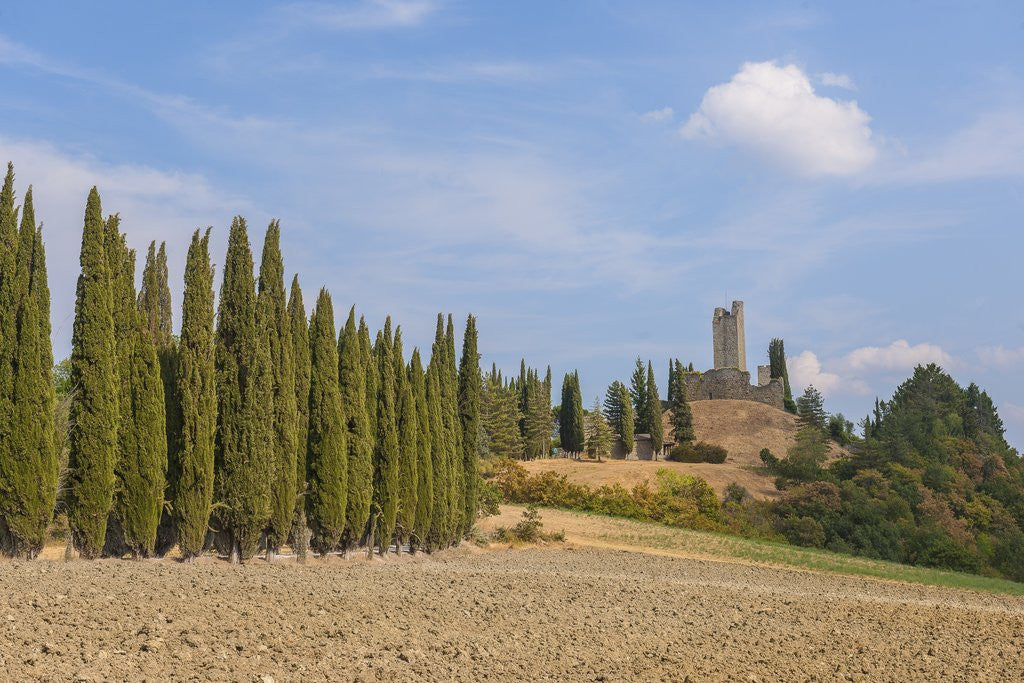 Detail of View of the town by Anonymous