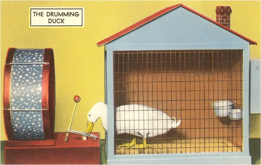 Detail of The Drumming Duck by Anonymous