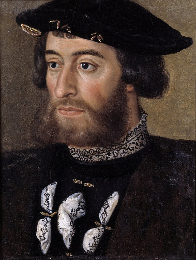 Detail of Portrait of Guillaume de Bellay, Lord of Langey by Anonymous