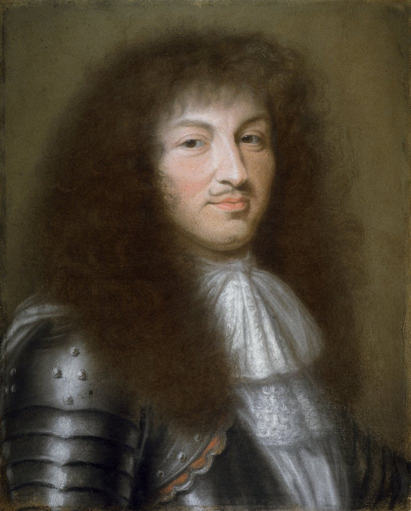 Detail of Portrait of Louis XIV, King of France by Robert Nanteuil