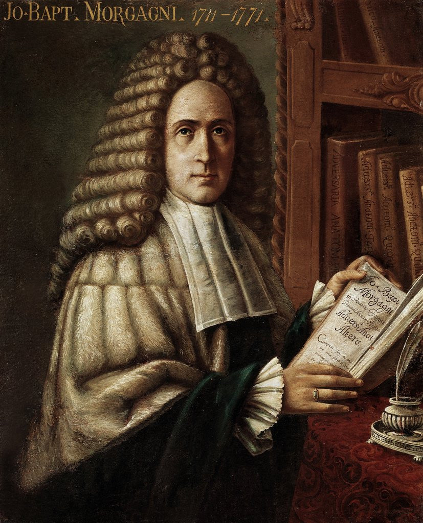 Detail of Portrait of Giovanni Battista Morgagni by Anonymous