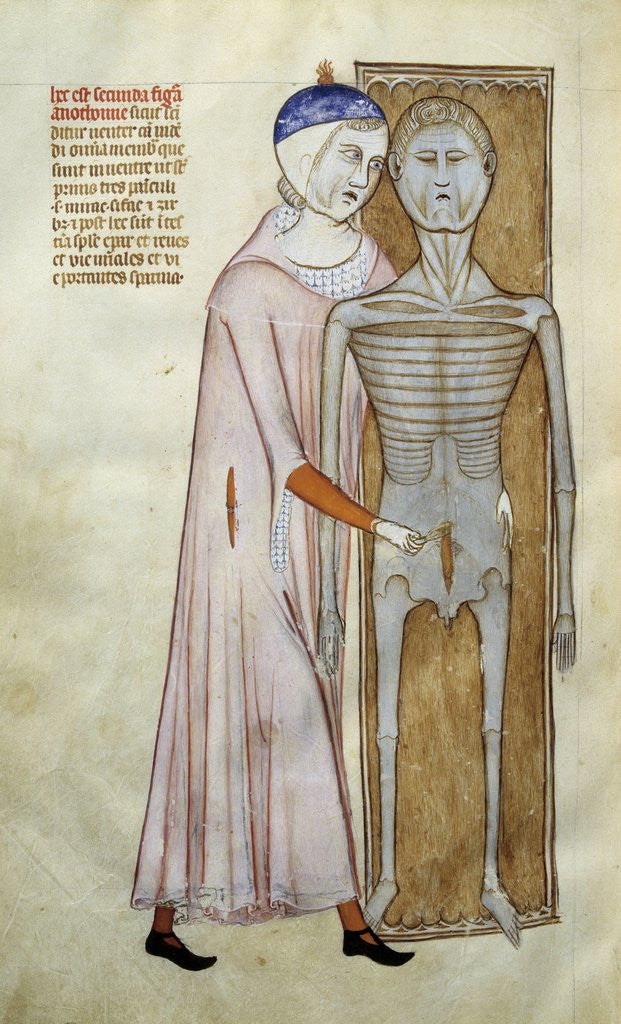 Detail of Board of anatomy and surgery depicting a dissection by Anonymous