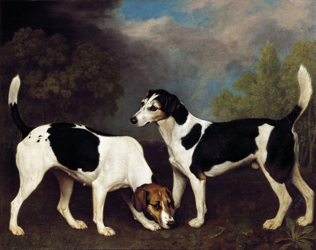 Detail of A Couple of Foxhounds by George Stubbs