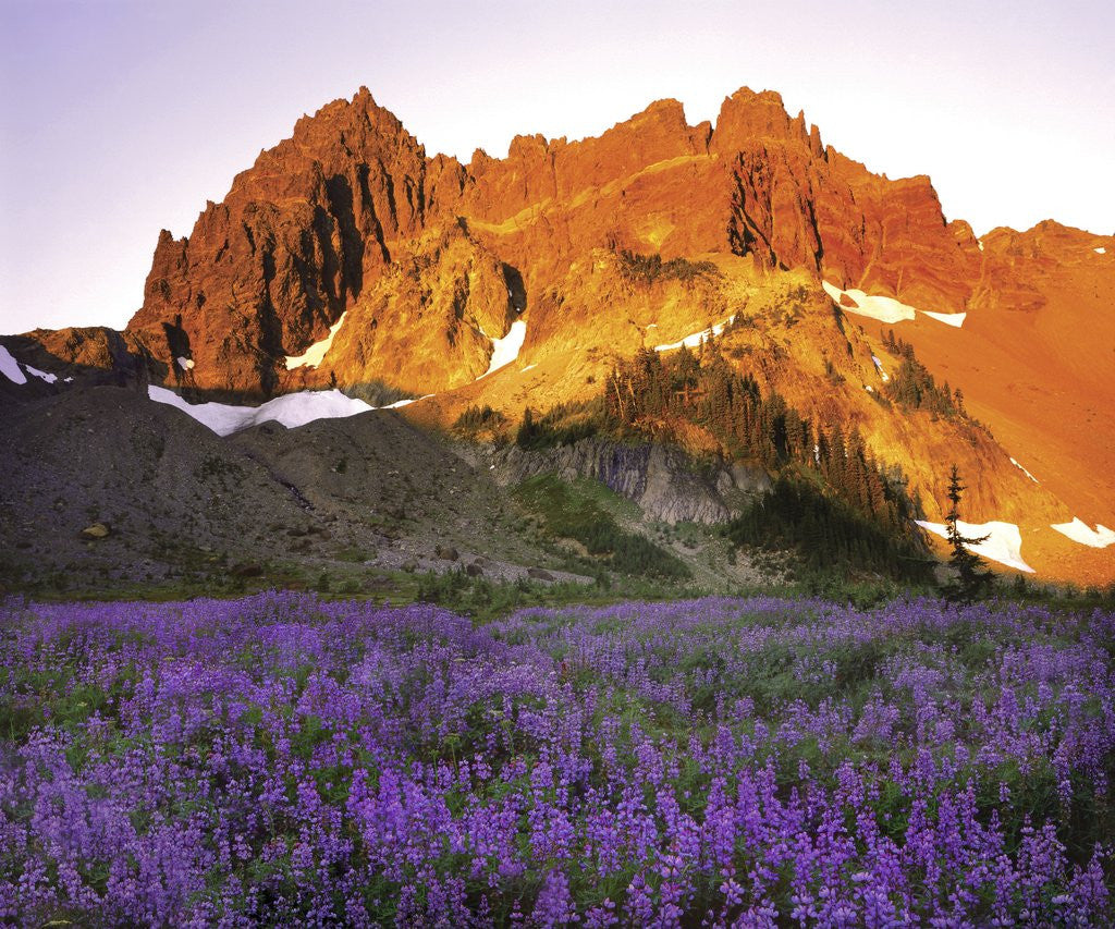 Detail of Three Fingered Jack Mountain by Anonymous