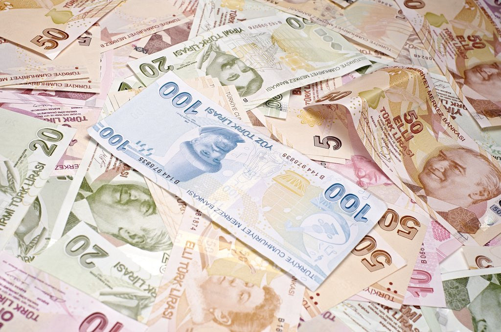 Detail of Turkish Currency by Anonymous
