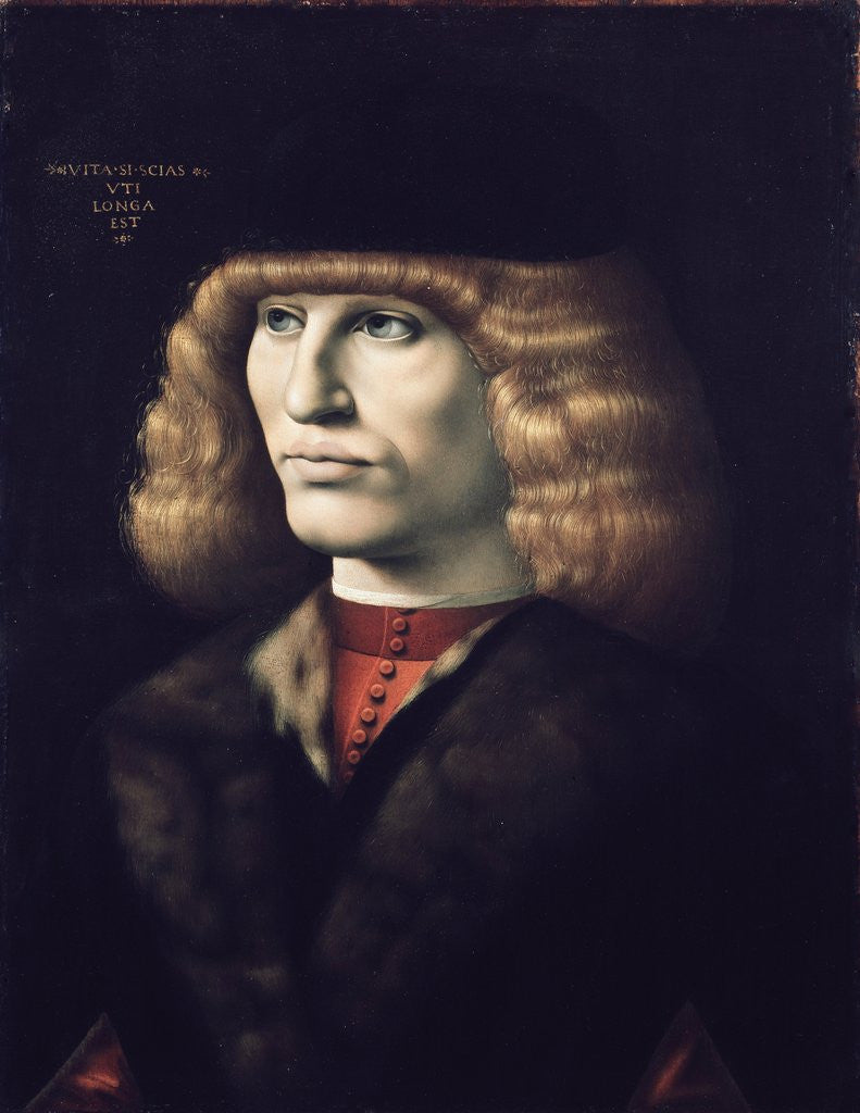 Detail of Rich young man wearing a fur by Giovanni Ambrogio de Predis