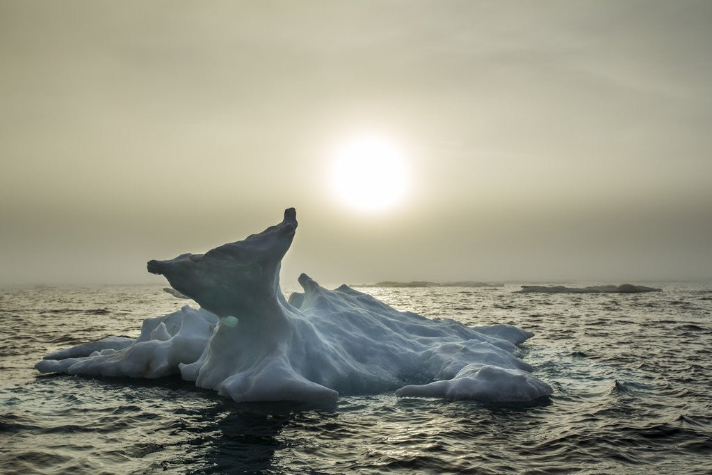 Detail of Melting Iceberg, Hudson Bay, Nunavut, Canada by Anonymous