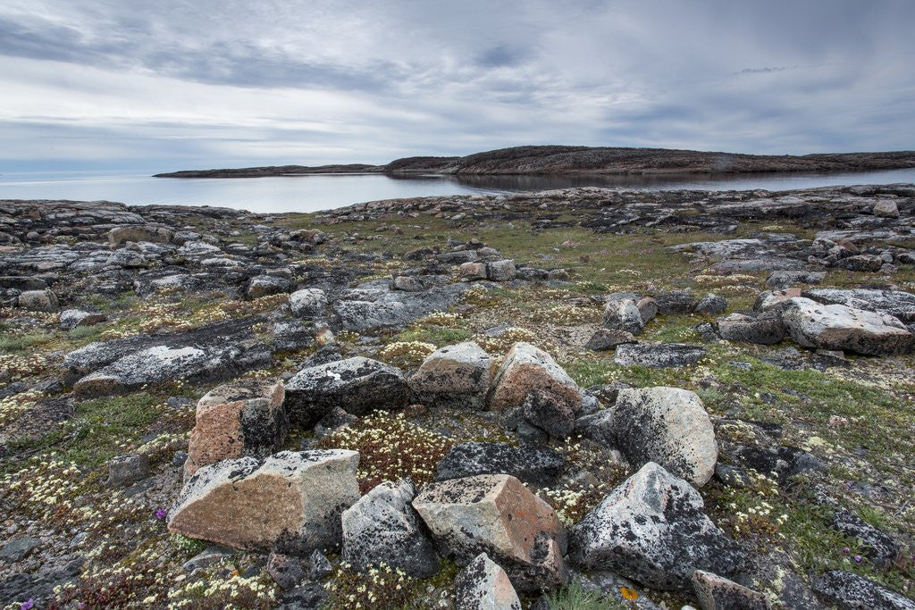 Detail of Stone Tent Rings, Nunavut, Canada by Anonymous