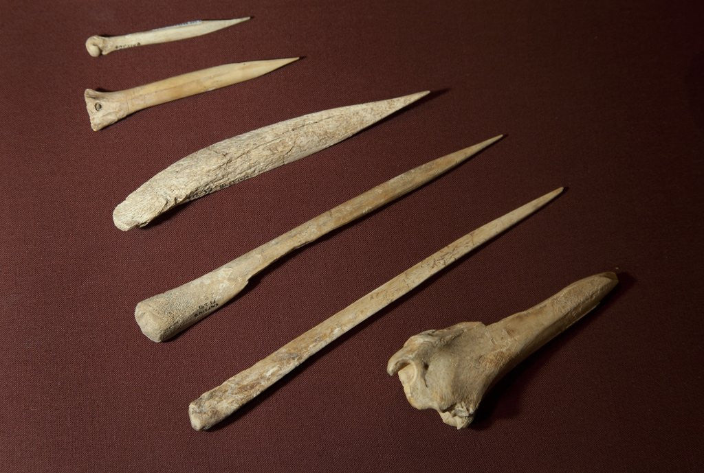 Detail of Assorted Bone Needles by Anonymous