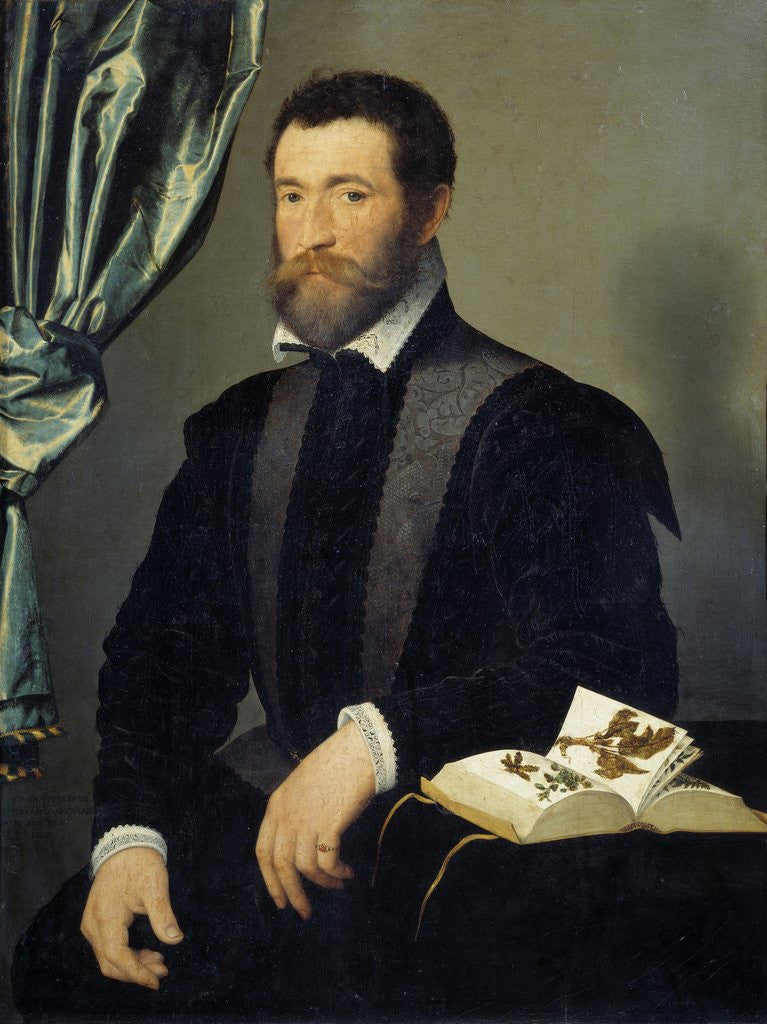 Detail of Portrait of the apothecary Pierre Quthe by Francois Clouet