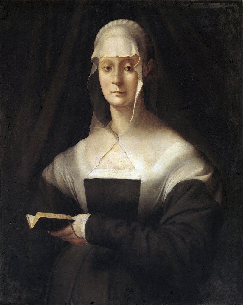 Detail of Portrait of Maria Salviati by Pontormo