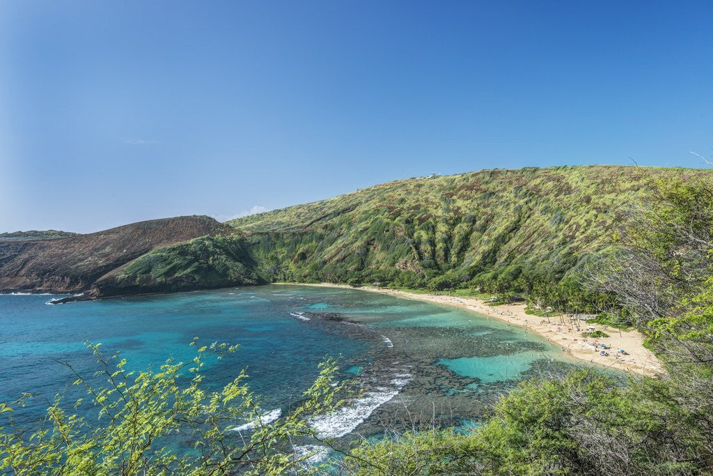 Detail of Hanauma Bay by Anonymous