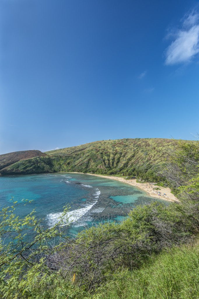 Detail of Hanauma Bay by Anonymous