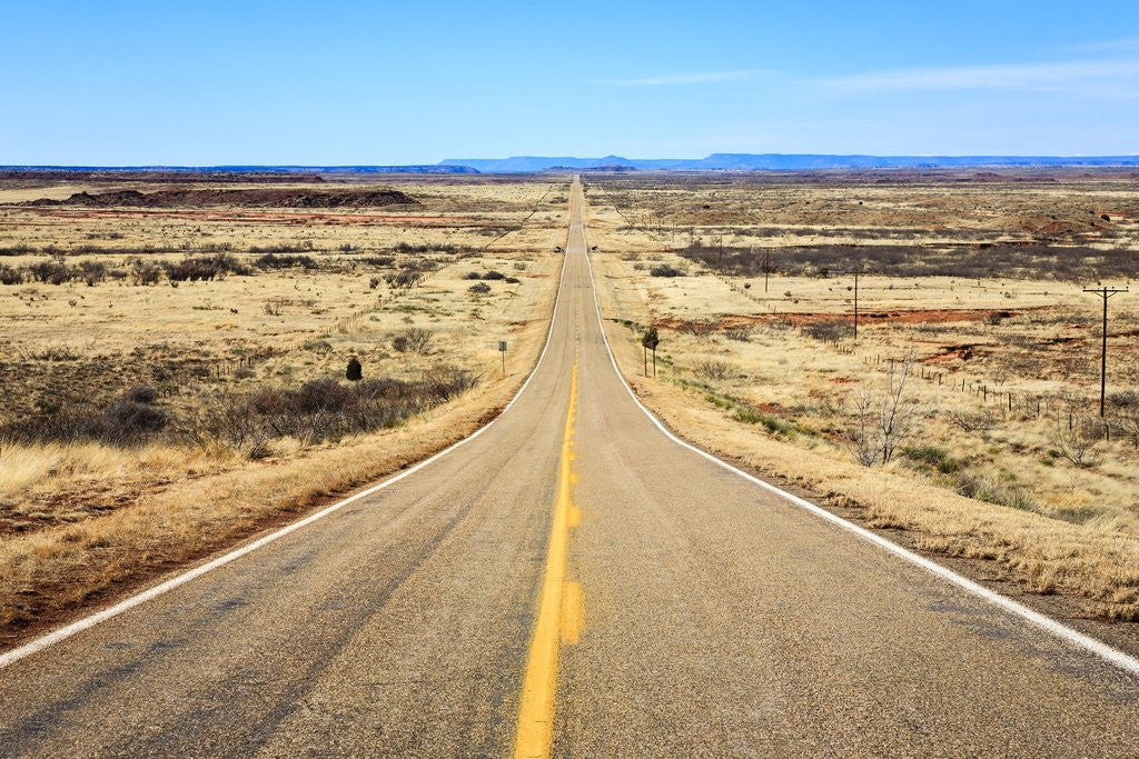 Detail of Long desert road stretching into the distance. by Anonymous