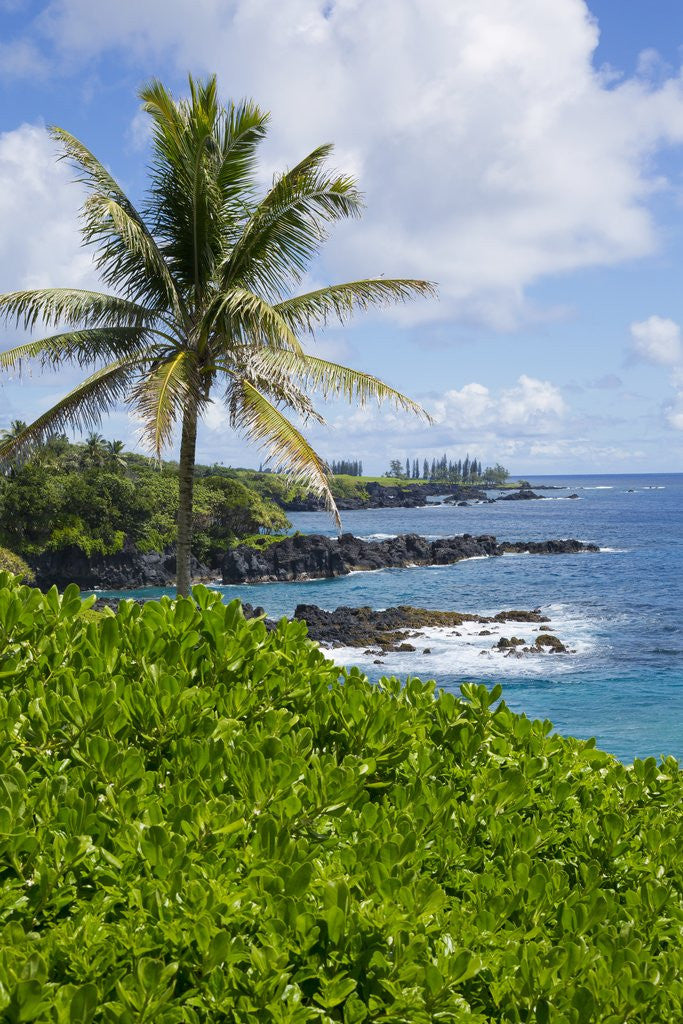 Detail of Kipahulu to Hana coastline, Maui, Hawaii by Corbis
