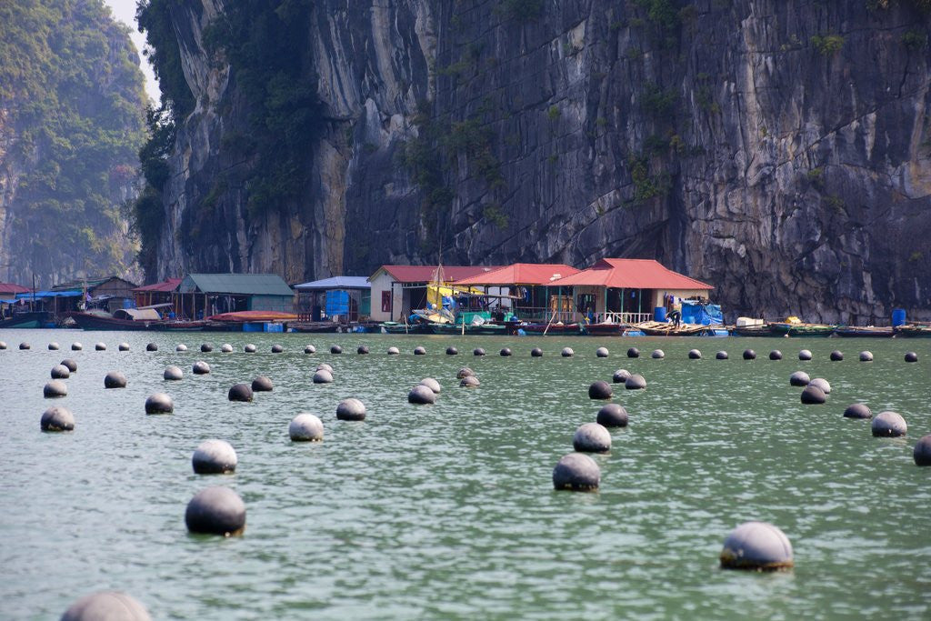 Detail of Vung Vieng Fishing Village in Bai Tu Long Bay, Halong Bay World Heritage Site, Vietnam by Anonymous
