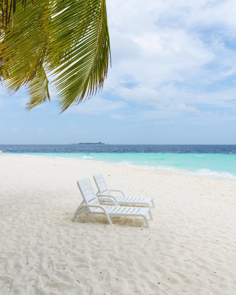 Detail of Idyllic Beach in the Maldives by Anonymous