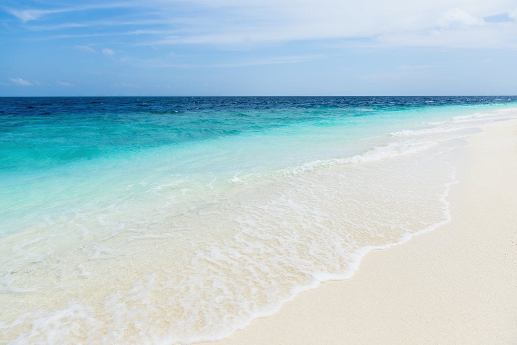 Detail of Idyllic beach in the Maldives by Anonymous