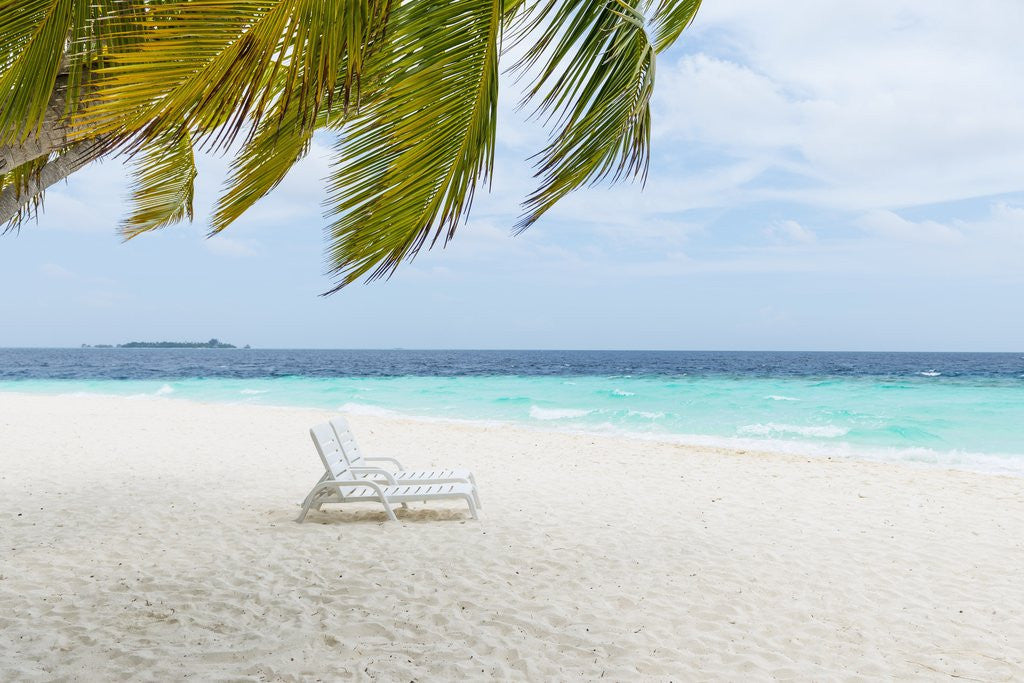 Detail of Beach scene in the Maldives by Anonymous
