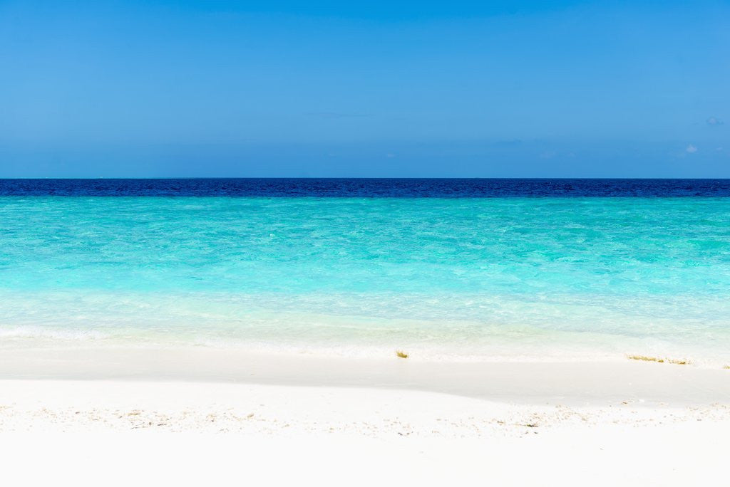 Detail of Idyllic beach in The Maldives by Anonymous