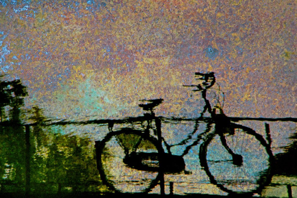 Detail of Bike by Anonymous