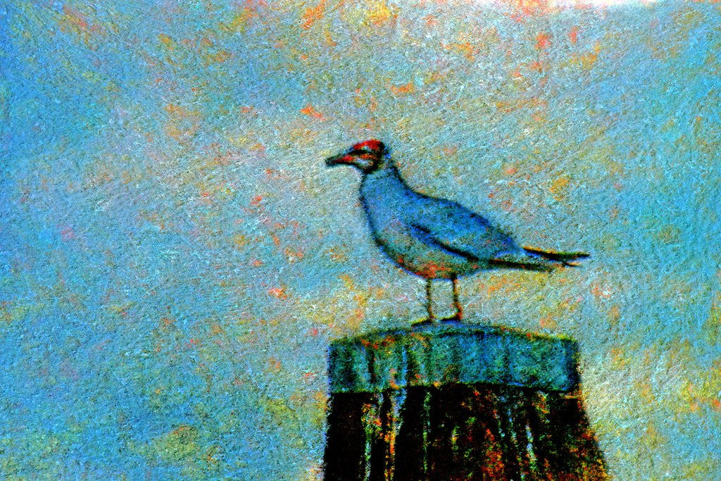 Detail of Bird by Anonymous