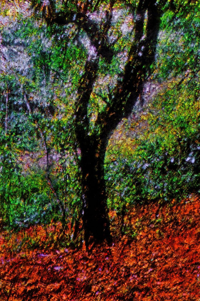 Detail of Tree by Anonymous