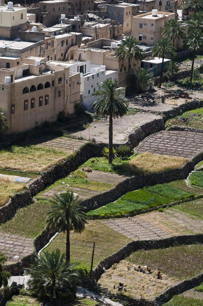 Detail of Al Hajir, Oman. by Anonymous