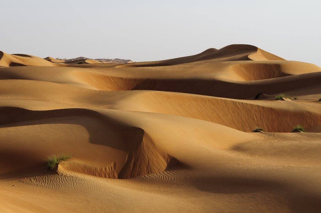 Detail of Desert sand dunes by Anonymous