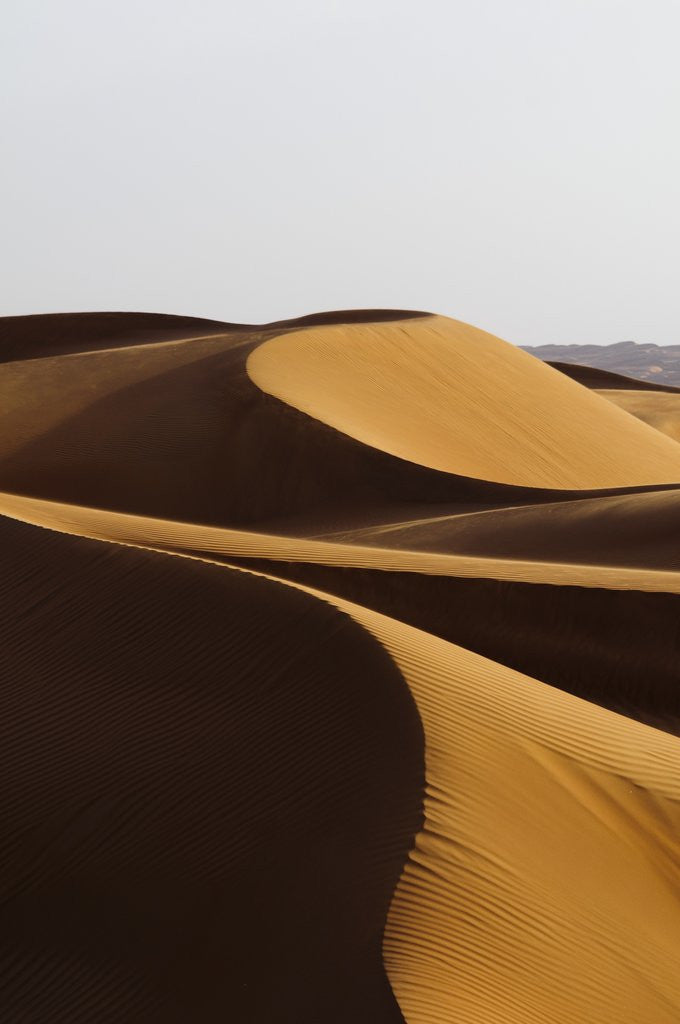 Detail of Desert sand dunes by Anonymous