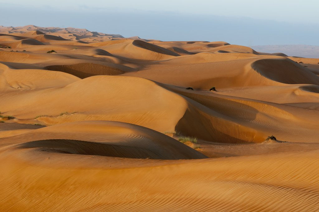 Detail of Desert sand dunes by Anonymous