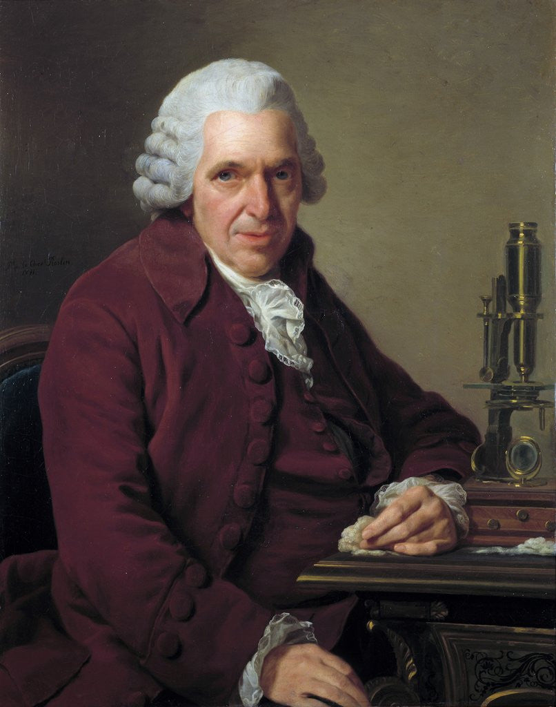 Detail of Portrait of Daubenton by Alexandre Roslin