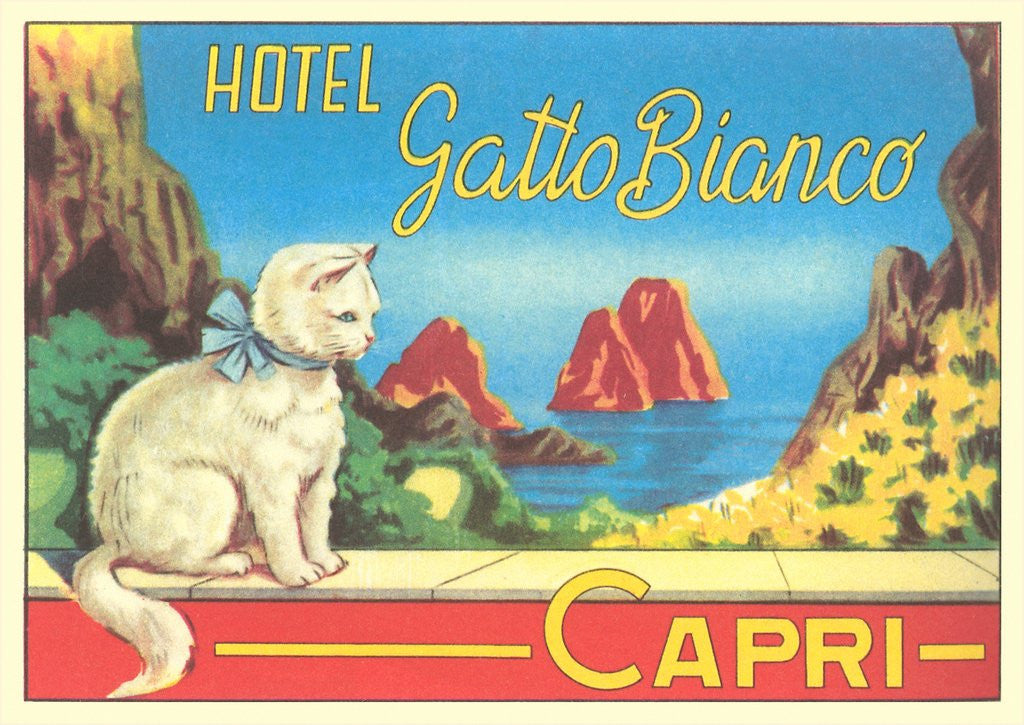 Detail of Hotel Gatto Bianco Capri by Corbis