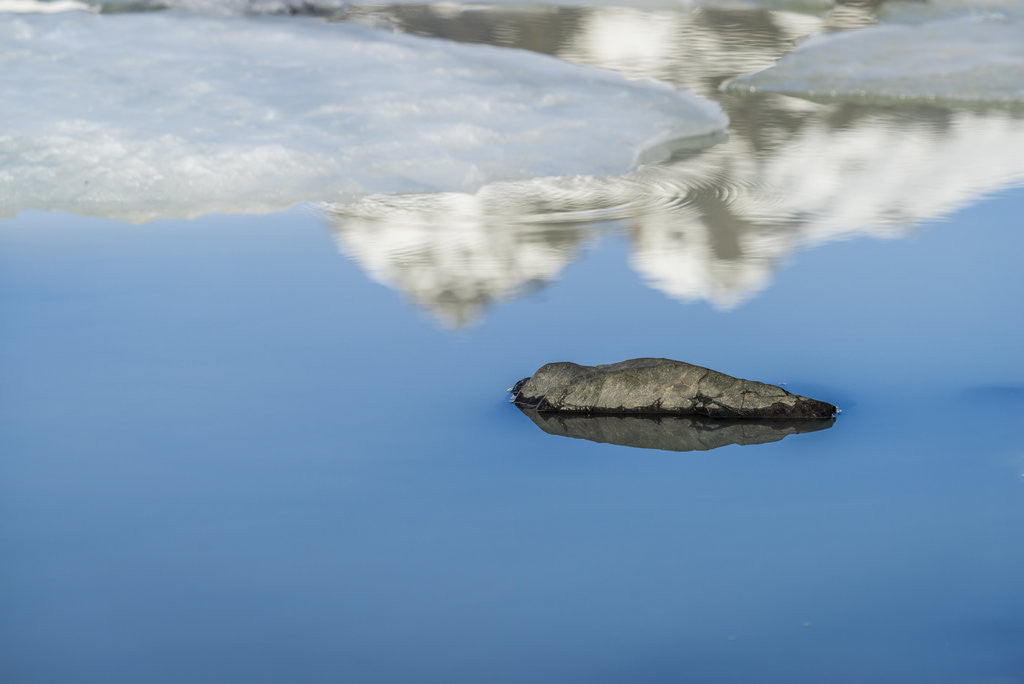 Detail of Rock with sky reflected in water. by Anonymous