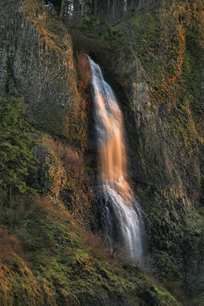 Detail of Evening light on Mist Falls by Anonymous