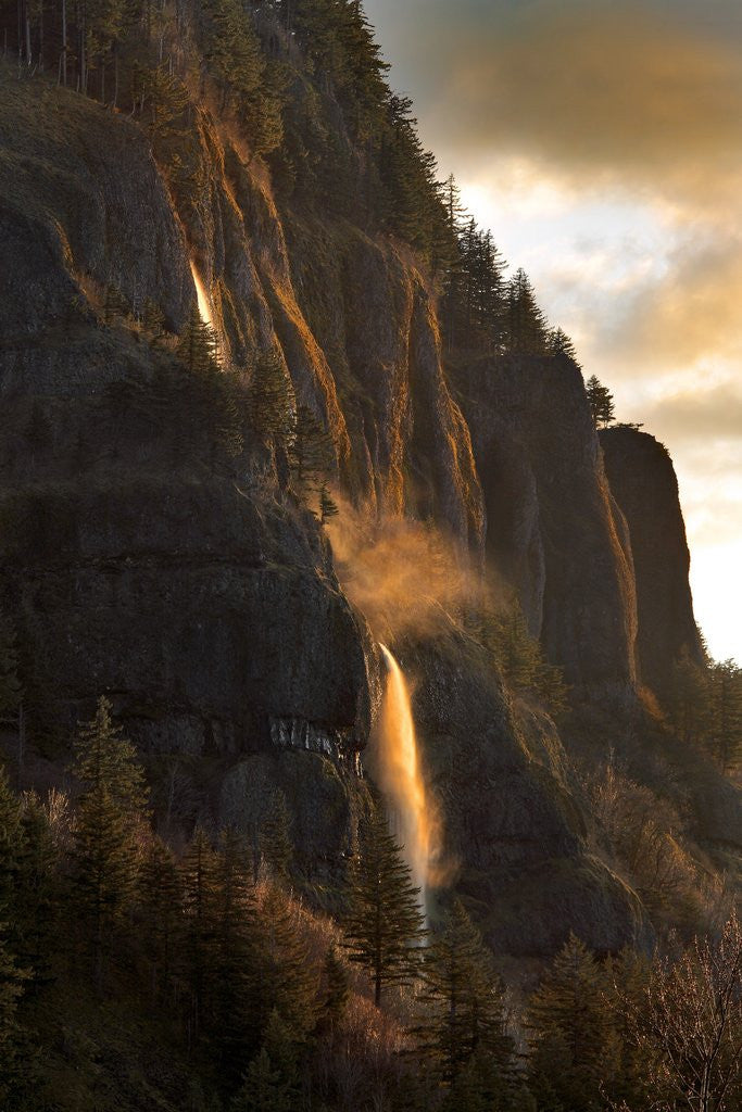 Detail of Evening light on Mist Falls by Anonymous