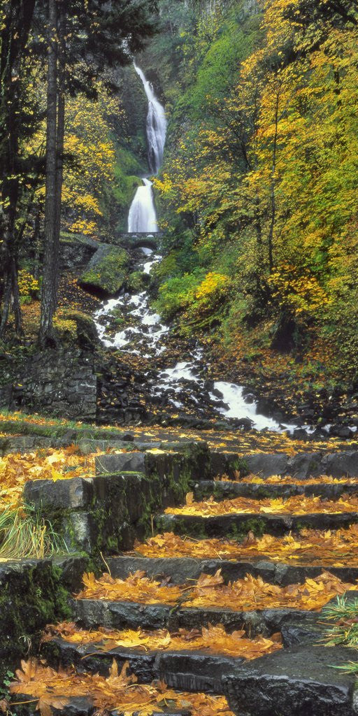 Detail of Wahkeena Falls by Anonymous