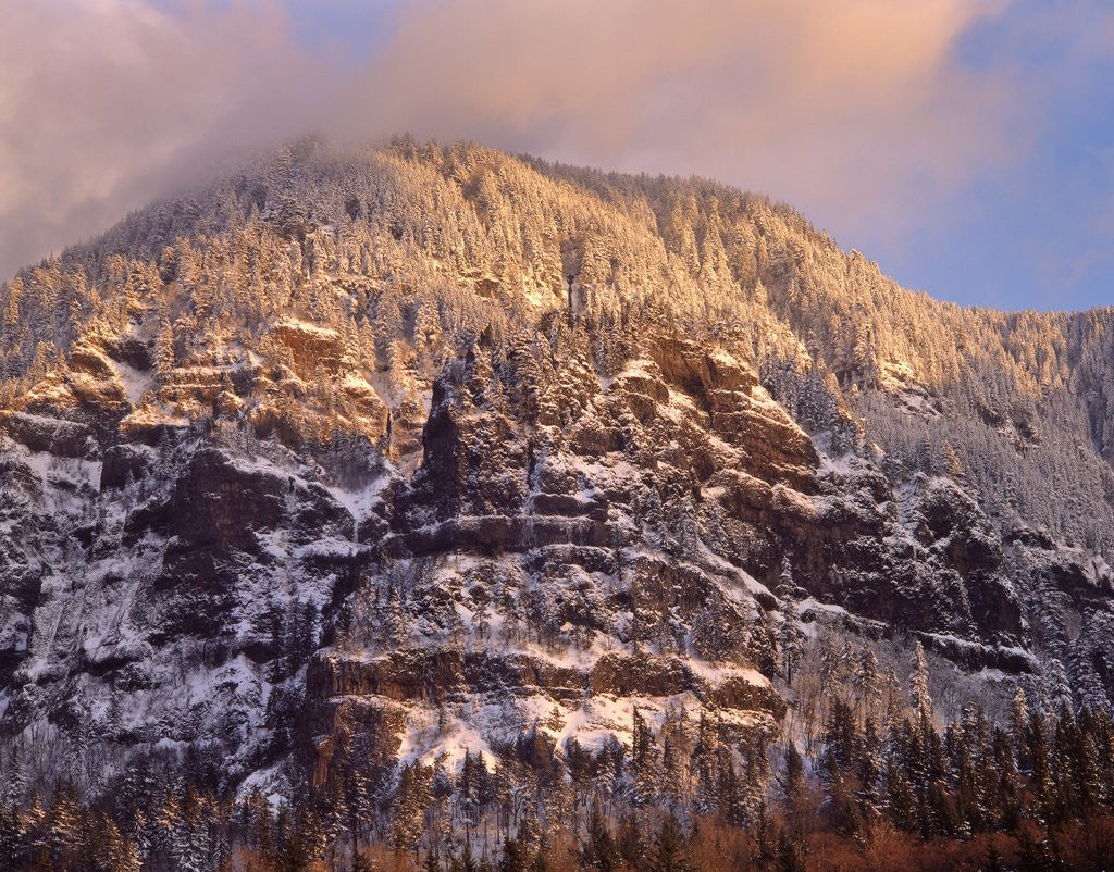 Detail of Snow on Yeon Mountain by Anonymous