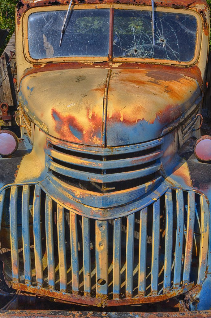 Detail of Old Chevy with rust and Fading Paint by Anonymous
