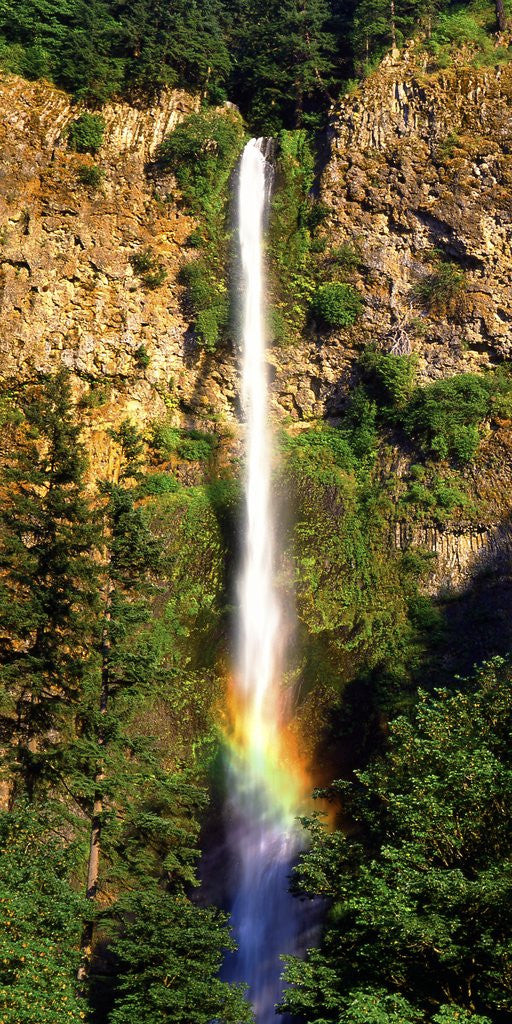 Detail of Multnomah Falls rainbow by Anonymous
