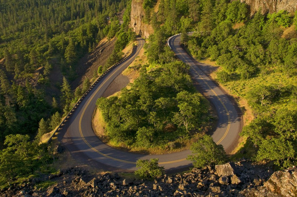 Detail of Rowena Loop Road by Anonymous